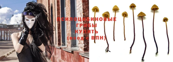 гидра Майский