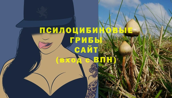 ешки Мегион